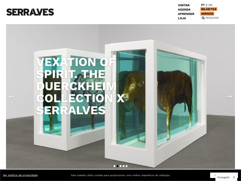 Serralves - Collection